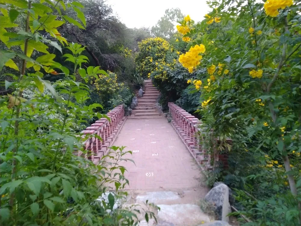 Smriti van Jaipur